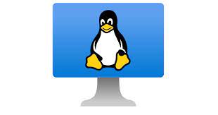 Linux VM, 4GB RAM, 4vCPUs, 80GB HD, Unlimited local loop
